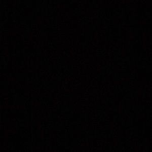 Meet your Posher, Kelsie